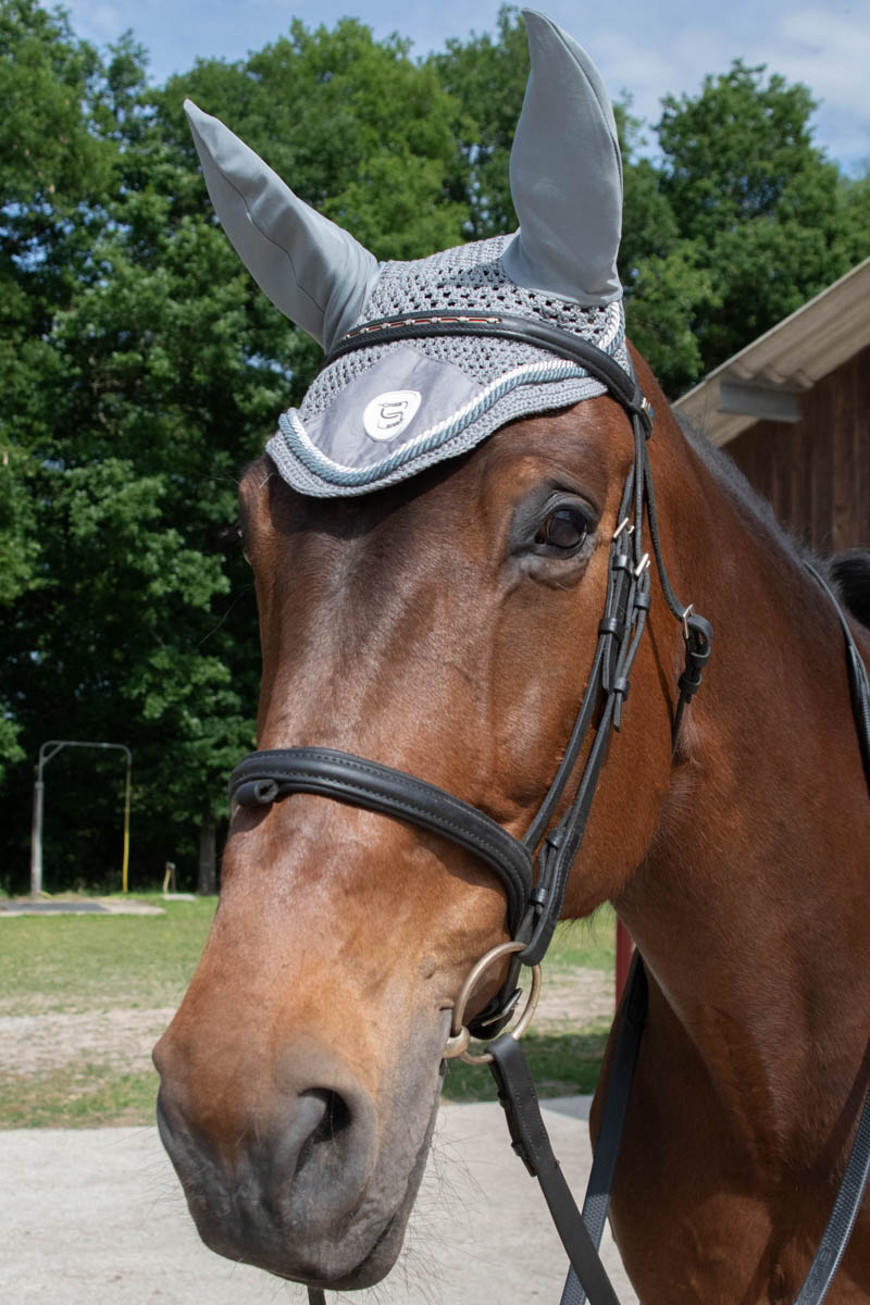 Bonnet chasse-mouches PRO SERIES “Sport” – Couleur : noir, Taille : cheval