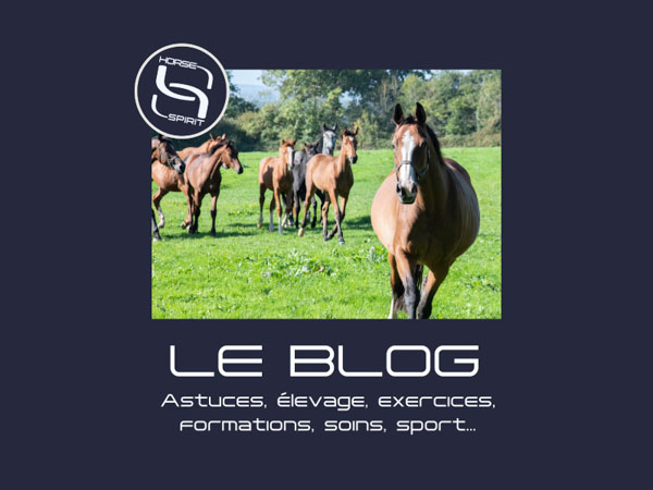 Le blog Horse Spirit