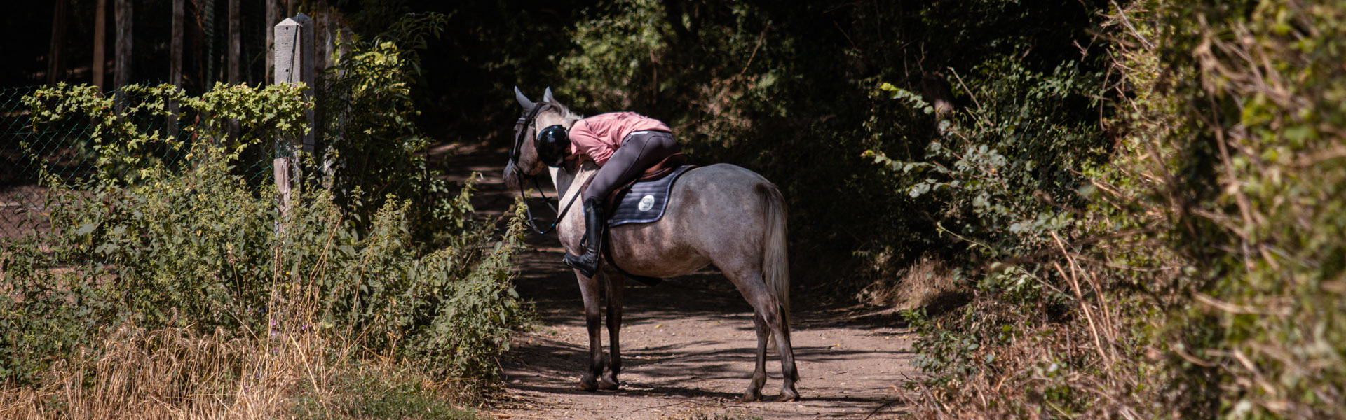 faire belles photo à cheval equitation saut action mouvement
