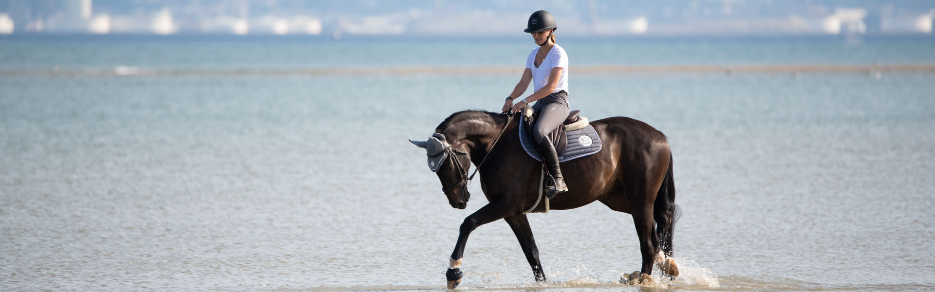 go to the beach with his horse photo water sea